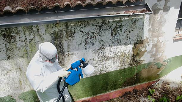 Top rated local Mold Remediation specialists in Point of Rocks, MD